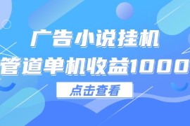 创业项目（12198期）广告小说挂机管道单机收益1000+便宜08月19日中创网VIP项目