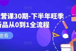 实战淘系运营课30期-下半年旺季新品从0到1全流程08-29冒泡网