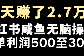 赚钱项目七天赚了2.7万！每单利润最少500+，轻松月入5万+小白有手就行08-17福缘网