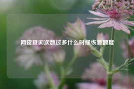 网贷查询次数过多什么时候恢复额度