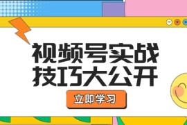 热门项目视频号实战技巧大公开：选题拍摄、运营推广、直播带货一站式学习08-29福缘网