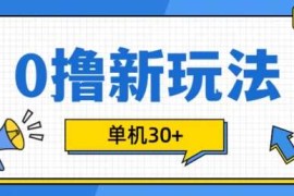 热门项目0撸项目新玩法，可批量操作，单机30+，有手机就行【揭秘】11-07冒泡网