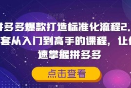 简单项目拼多多爆款打造标准化流程2.0，一套从入门到高手的课程，让你快速掌握拼多多便宜08月19日冒泡网VIP项目