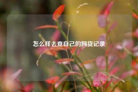 怎么样去查自己的网贷记录