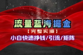 热门项目（11302期）热门赛道掘金_小白快速入局挣钱，可矩阵【完整实操】，06月28日中创网VIP项目