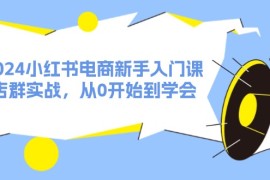 赚钱项目2024小红书电商新手入门课，店群实战，从0开始到学会（31节）便宜08月05日福缘网VIP项目