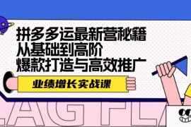 2024最新（12260期）拼多多运最新营秘籍：业绩增长实战课，从基础到高阶，爆款打造与高效推广08-22中创网