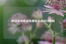 网贷查询系统有哪些平台可以查询