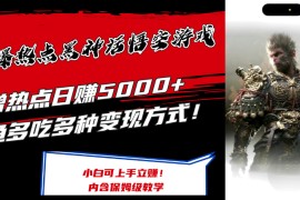 热门项目（12252期）最爆热点黑神话悟空游戏，增热点日赚5000+一鱼多吃多种变现方式！可立&#8230;08-21中创网