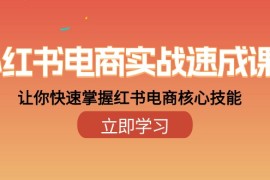 很火小红书项目，小红书电商实战速成课，让你快速掌握红书电商核心技能