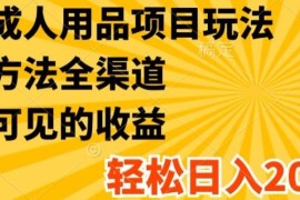 创业项目最新成人用品项目玩法，方式方法全渠道，轻松日入2K+【揭秘】便宜07月16日冒泡网VIP项目