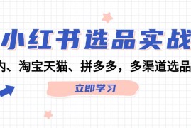 热门项目（12443期）小红书选品实战：站内、淘宝天猫、拼多多，多渠道选品策略09-03中创网