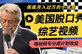 2024最新利用美国脱口秀综艺视频，撸视频号分成计划收益，每天只需一小时，月入过W【揭秘】便宜07月10日冒泡网VIP项目