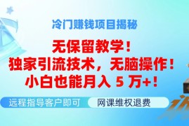 热门项目（11864期）冷门赚钱项目无保留教学！独家引流技术，无脑操作！小白也能月入5万+！便宜07月29日中创网VIP项目