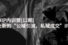 花爷的自媒体IP训练营(12期)，一套全新的“公域引流，私域成交”