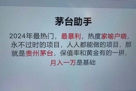 每天（12990期）魔法贵州茅台代理，永不淘汰的项目，抛开传统玩法，使用科技，命中率极&#8230;10-16中创网