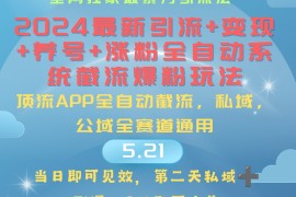 实操热门给力项目项目，2024最暴力引流+涨粉+变现+养号全自动系统爆粉玩法