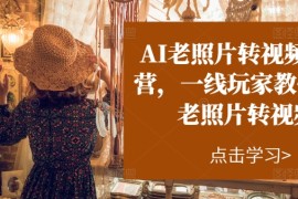 实战（11477期）AI老照片转视频实操训练营，一线玩家教你AI老照片转视频便宜07月07日中创网VIP项目