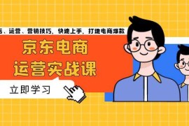 赚钱项目（13341期）京东电商运营实战课，传授开店、运营、营销技巧，快速上手，打造电商爆款11-15中创网