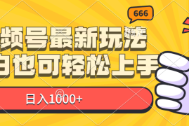 2024最新（11881期）视频号最新玩法，小白也可轻松上手，日入1000+便宜08月01日中创网VIP项目