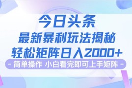 热门项目（12584期）今日头条最新暴利掘金玩法揭秘，动手不动脑，简单易上手。轻松矩阵实现&#8230;09-13中创网