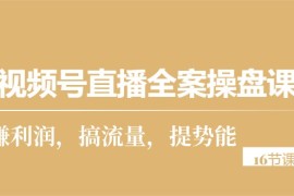 2024短视频运营项目，视频号直播全案操盘课，赚利润，搞流量，提势能