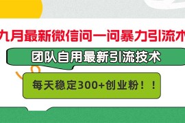 每天（12735期）九月最新微信问一问暴力引流术，团队自用引流术，每天稳定300+创&#8230;09-25中创网