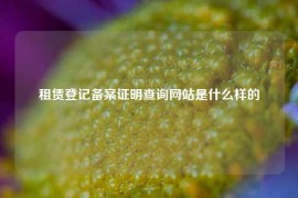 租赁登记备案证明查询网站是什么样的