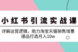 小红书引流实战，助力淘宝天猫销售增量，打造爆品连抖音号运营