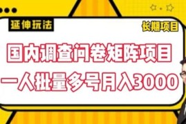 最新项目国内调查问卷矩阵项目，一人批量多号月入3000【揭秘】便宜07月23日冒泡网VIP项目