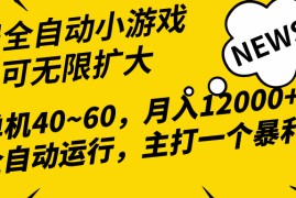 实操热门给力项目项目，2024最新全网独家小游戏全自动，单机40~60,稳定躺赚，小白都能月入过万