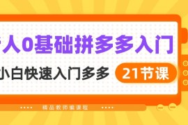 实战国内电商项目，新人0基础拼多多入门，纯小白快速入门多多