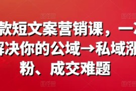 热门项目爆款短文案营销课，一次解决你的公域→私域涨粉、成交难题08-24冒泡网