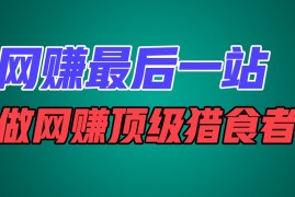 热门项目网赚最后一站，卖项目，做网赚顶级猎食者便宜07月13日福缘网VIP项目