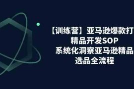 亚马逊爆款打造之精品开发SOP【训练营】，系统化洞察亚马逊精品选品全流程，06月23日福缘网VIP项目