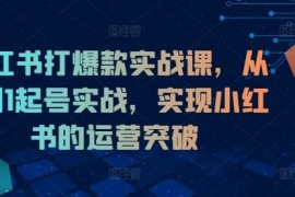 简单项目小红书打爆款实战课，从0到1起号实战，实现小红书的运营突破08-18冒泡网