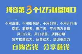 赚钱热门给力项目项目，火爆全网的抖音优惠券 自用省钱 推广赚钱 不伤人脉 裂变日入500+ 享受...