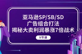 热门跨境电商项目，亚马逊SP/SB/SD广告组合打法，揭秘大卖利润暴涨7倍战术 (9节课)