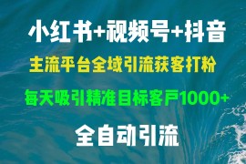 创业项目（13104期）小红书，视频号，抖音主流平台全域引流获客打粉，每天吸引精准目标客户&#8230;10-25中创网