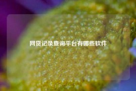 网贷记录查询平台有哪些软件