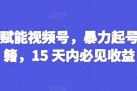 2024最新AI赋能视频号，暴力起号秘籍，15天内必见收益【揭秘】便宜07月14日冒泡网VIP项目