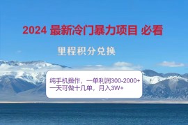 （12856期）2024惊爆冷门暴利！出行高峰来袭，里程积分，高爆发期，一单300+—2000…