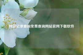 网贷记录查询免费查询网站官网下载软件