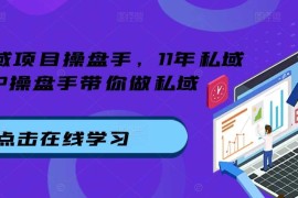 实战私域项目操盘手，11年私域TOP操盘手带你做私域11-07冒泡网