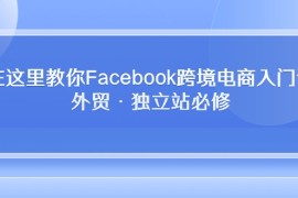 热门热门给力项目项目:在这里教你Facebook跨境电商入门课，外贸·独立站必修