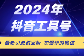 每日（12149期）24年抖音最新工具号日引流300+创业粉，日入5000+08-14中创网