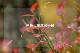 网贷记录查询平台