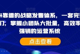 每日2024靠谱的战略发售体系，一套完整的助IP们，掌握小团队大批量，高效率，0强销的运营系统10-16冒泡网