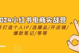 很火小红书项目，2024小红书电商实战营，养号打造IP/选爆品/开店铺/爆款笔记/等等