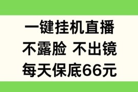 2024最新一键挂JI直播，不露脸不出境，每天保底66元【揭秘】便宜07月05日冒泡网VIP项目